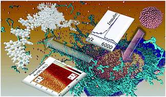 Graphical abstract: Large cluster ions: soft local probes and tools for organic and bio surfaces