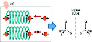 Graphical abstract: Asymmetric reactions induced by electron spin polarization