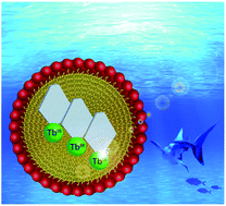 Graphical abstract: First aggregation-induced emission of a Tb(iii) luminophore based on modulation of ligand–ligand charge transfer bands