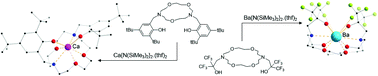 Graphical abstract: Alkaline-earth complexes with macrocyclic-functionalised bis(phenolate)s and bis(fluoroalkoxide)s