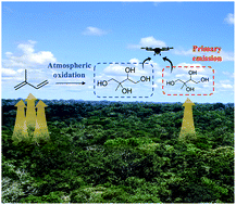 Graphical abstract: Near-canopy horizontal concentration heterogeneity of semivolatile oxygenated organic compounds and implications for 2-methyltetrols primary emissions