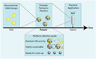 Graphical abstract: Platform selection of engineered nanomaterials for water decontamination applications