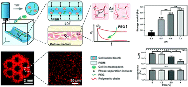 Graphical abstract: Triggered micropore-forming bioprinting of porous viscoelastic hydrogels