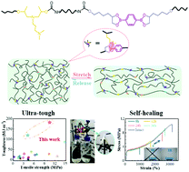 Graphical abstract: Synergy between dynamic covalent boronic ester and boron–nitrogen coordination: strategy for self-healing polyurethane elastomers at room temperature with unprecedented mechanical properties
