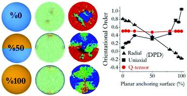 Graphical abstract: Engineered liquid crystal nano droplets: insights from multi-scale simulations