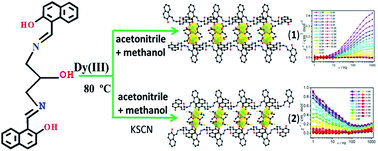 Graphical abstract: Tuning slow magnetic relaxation behaviour in a {Dy2}-based one-dimensional chain via crystal field perturbation