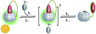 Graphical abstract: Covalent cucurbit[7]uril–dye conjugates for sensing in aqueous saline media and biofluids