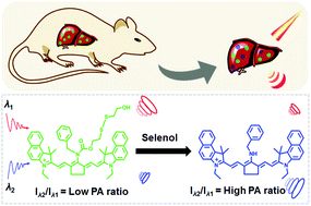 Graphical abstract: Design and synthesis of a ratiometric photoacoustic imaging probe activated by selenol for visual monitoring of pathological progression of autoimmune hepatitis