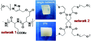 Graphical abstract: Biocompatible polypeptide-based interpenetrating network (IPN) hydrogels with enhanced mechanical properties