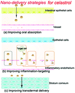 Graphical abstract: Current advances in the nano-delivery of celastrol for treating inflammation-associated diseases