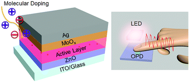 Graphical abstract: Molecular doping of near-infrared organic photodetectors for photoplethysmogram sensors