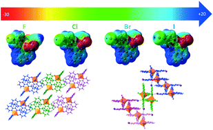 Graphical abstract: Interplay of halogen and hydrogen bonding in a series of heteroleptic iron(iii) complexes