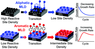 Graphical abstract: In situ analysis of growth rate evolution during molecular layer deposition of ultra-thin polyurea films using aliphatic and aromatic precursors