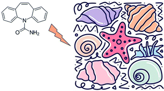 Graphical abstract: Effects of carbamazepine in aquatic biota