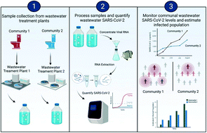 Graphical abstract: Long-term surveillance of wastewater SARS-CoV-2 in Los Angeles County