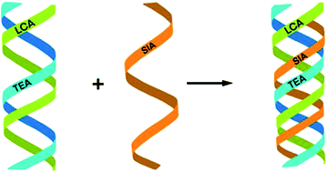 Graphical abstract: Developing a triple helix approach for CO2 utilisation assessment