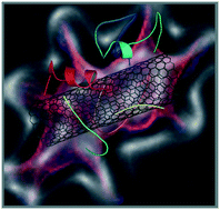 Graphical abstract: Microtubule-inspired functionalization of carbon nanotubes: a biomimetic carrier design