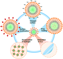 Graphical abstract: Flexible polymeric nanosized micelles for ophthalmic drug delivery: research progress in the last three years