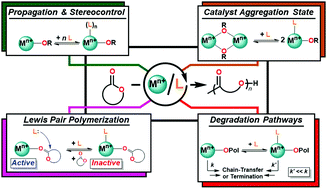 Graphical abstract: The versatile roles of neutral donor ligands in tuning catalyst performance for the ring-opening polymerization of cyclic esters