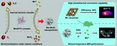 Graphical abstract: Enzymatically synthesised MnO2 nanoparticles for efficient near-infrared photothermal therapy and dual-responsive magnetic resonance imaging