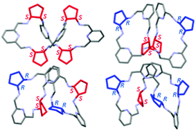 Graphical abstract: Controlling chirality in the synthesis of 4 + 4 diastereomeric amine macrocycles derived from trans-1,2-diaminocyclopentane and 2,6-diformylpyridine