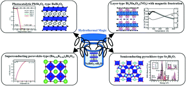 Graphical abstract: Hydrothermal magic for the synthesis of new bismuth oxides