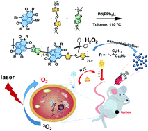 Graphical abstract: A tri-component semiconducting polymer with ultrahigh photothermal conversion efficiency as a biodegradable photosensitizer for phototheranostics