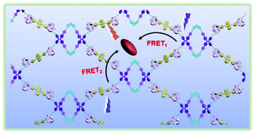 Graphical abstract: A supramolecular dual-donor artificial light-harvesting system with efficient visible light-harvesting capacity