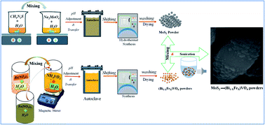 Graphical abstract: Construction of 1T-MoS2 quantum dots-interspersed (Bi1−xFex)VO4 heterostructures for electron transport and photocatalytic properties