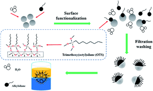 Graphical abstract: Novel hydrophobic catalysts to promote hydration at the water–oil interface