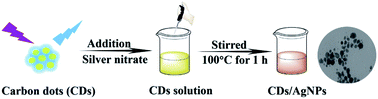 Graphical abstract: Facile synthesis of a carbon dots and silver nanoparticles (CDs/AgNPs) composite for antibacterial application