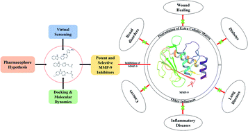 Graphical abstract: Ligand-based pharmacophore modeling and molecular dynamic simulation approaches to identify putative MMP-9 inhibitors