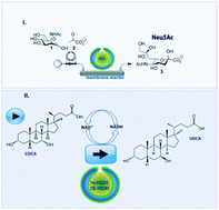 Graphical abstract: Compartmentalized cross-linked enzyme nano aggregates (c-CLEnAs) toward pharmaceutical transformations