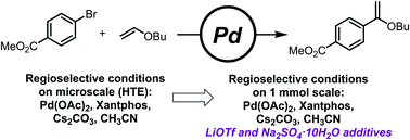 Graphical abstract: The influence of additives on orthogonal reaction pathways in the Mizoroki–Heck arylation of vinyl ethers