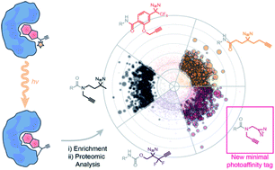 Graphical abstract: Evaluation of fully-functionalized diazirine tags for chemical proteomic applications