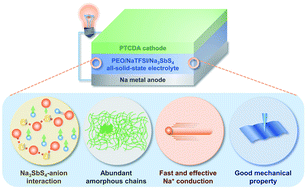 Graphical abstract: High-performance all-solid-state electrolyte for sodium batteries enabled by the interaction between the anion in salt and Na3SbS4