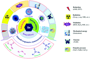 Graphical abstract: Recent developments in selenium-containing polymeric micelles: prospective stimuli, drug-release behaviors, and intrinsic anticancer activity