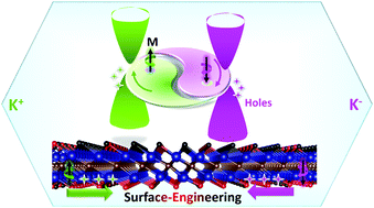 Graphical abstract: Intrinsic valley polarization in 2D magnetic MXenes: surface engineering induced spin-valley coupling