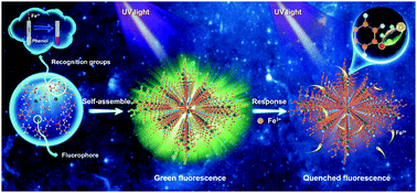 Graphical abstract: An ultra-high quantum yield Tb-MOF with phenolic hydroxyl as the recognition group for a highly selective and sensitive detection of Fe3+