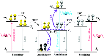 Graphical abstract: Challenges, progress and prospects in solid state triplet fusion upconversion