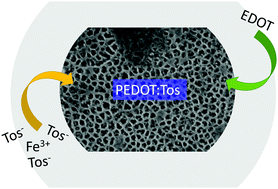 Graphical abstract: Understanding PEDOT doped with tosylate