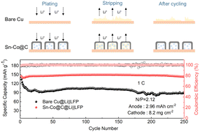 Graphical abstract: Lithiophilic Sn–Co nano-seeds sealed in a hollow carbon shell to stabilize lithium metal anodes