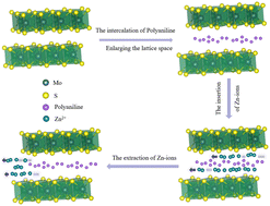 Graphical abstract: Defect engineering of molybdenum disulfide nanosheets boosting super Zn2+ storage from polyaniline intercalation