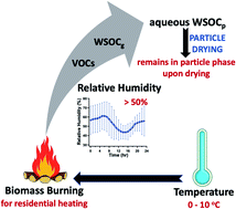 Graphical abstract: Aqueous processing of water-soluble organic compounds in the eastern United States during winter