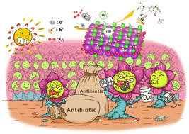 Graphical abstract: Efficient molecular oxygen utilization of micelle-based BiOCl for enhanced in situ H2O2 production induced photocatalytic removal of antibiotics