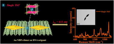 Graphical abstract: Selective recognition of the amyloid marker single thioflavin T using DNA origami-based gold nanobipyramid nanoantennas