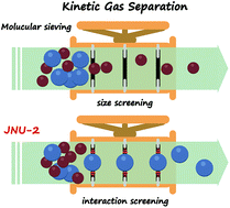 Graphical abstract: Kinetic separation of C2H6/C2H4 in a cage-interconnected metal–organic framework: an interaction-screening mechanism