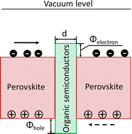 Graphical abstract: Bridging the inter-grain charge transport via organic semiconductors for high-performance thickness-insensitive perovskite solar cells