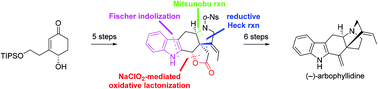 Graphical abstract: Total synthesis of monoterpenoid indole alkaloid (–)-arbophyllidine