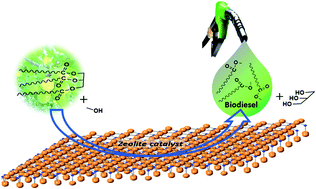 Graphical abstract: Optimization of biodiesel synthesis from Jatropha curcas oil using kaolin derived zeolite Na–X as a catalyst